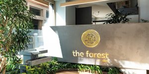 The Forest: Progettazione e Natura