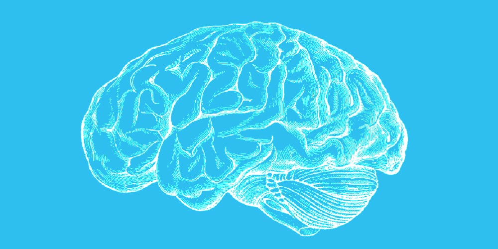 Spazi a misura di cervello
