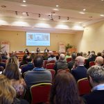 L’ufficio come ecosistema dinamico  