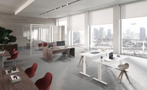 Collaborare o concentrarsi? Due approcci all’ufficio contemporaneo 