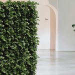 Indoor air quality: tra salute, cultura e governo degli spazi