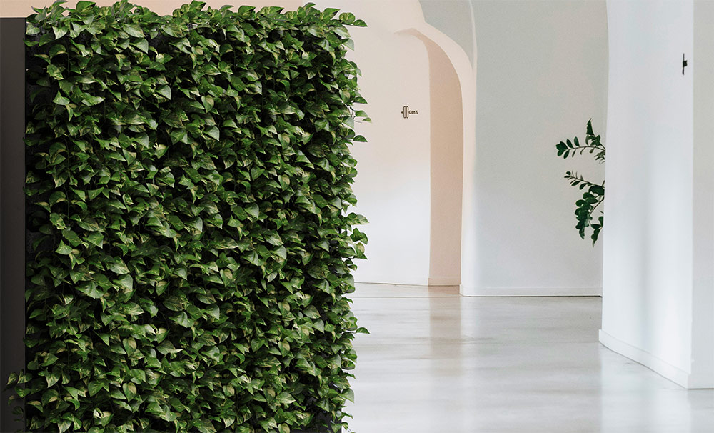 Indoor air quality: tra salute, cultura e governo degli spazi