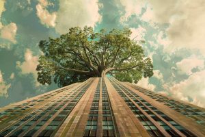 Building Life Cycle, quando il valore dell’edificio si costruisce nel tempo